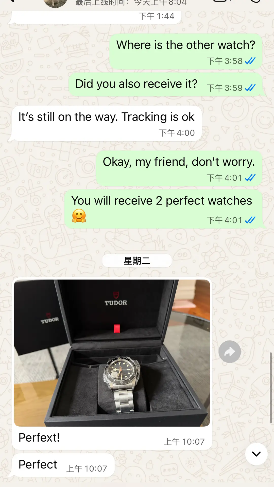 Watch Image 12